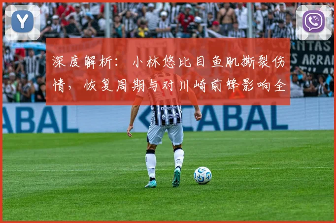 深度解析：小林悠比目鱼肌撕裂伤情，恢复周期与对川崎前锋影响全知道